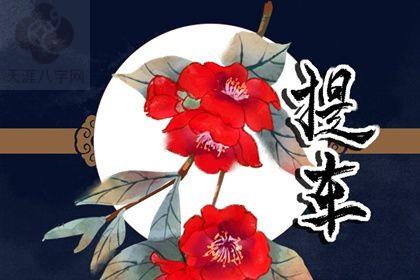 2025年09月29日是提车好日子吗 提车买车吉利吗