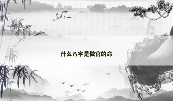 什么八字是做官的命