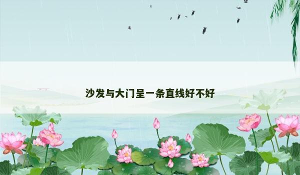 沙发与大门呈一条直线好不好