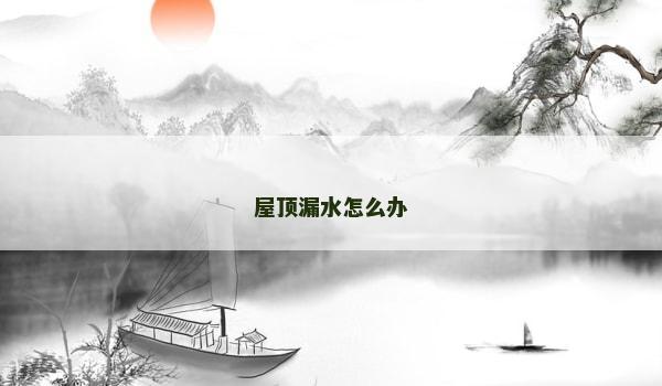 屋顶漏水怎么办