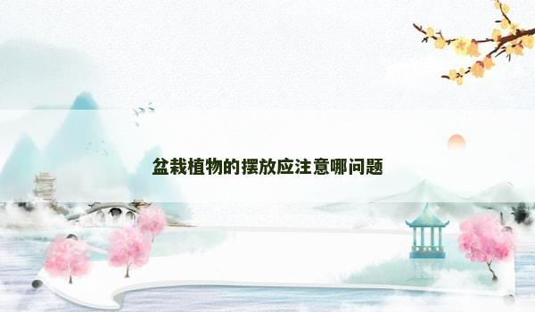 盆栽植物的摆放应注意哪问题
