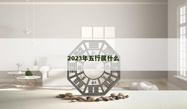 2023年五行属什么