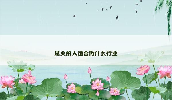 属火的人适合做什么行业