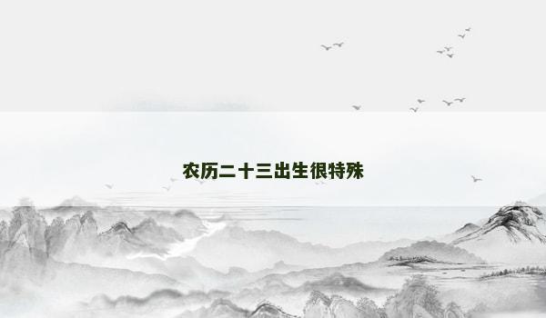 农历二十三出生很特殊