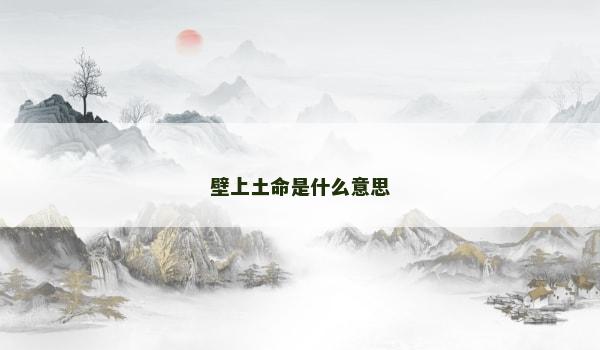 壁上土命是什么意思
