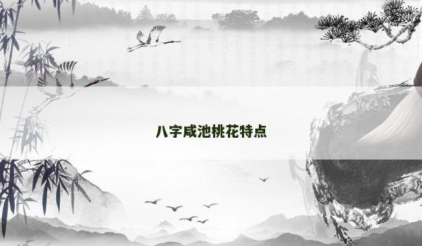 八字咸池桃花特点
