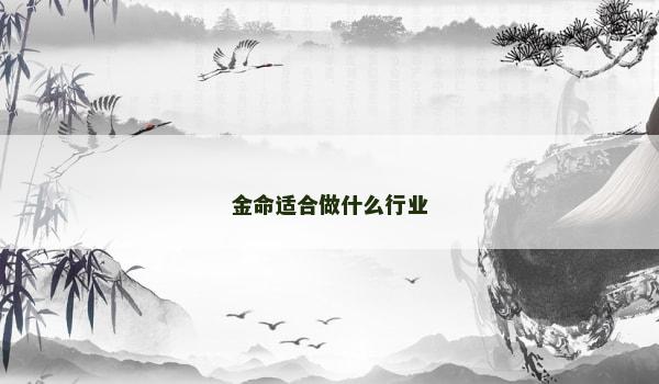 金命适合做什么行业
