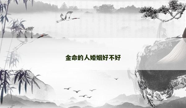 金命的人婚姻好不好