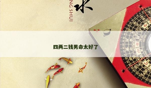 四两二钱男命太好了