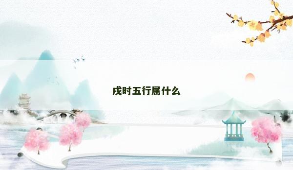 戌时五行属什么