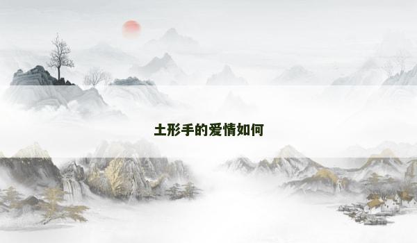 土形手的爱情如何
