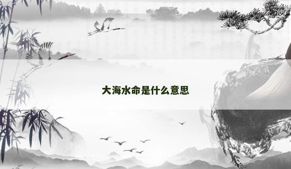 大海水命是什么意思