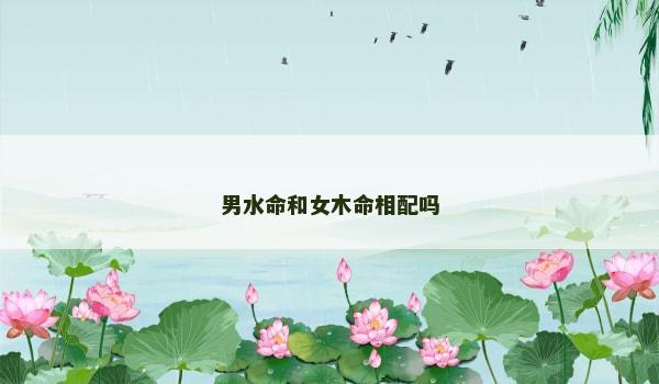 男水命和女木命相配吗