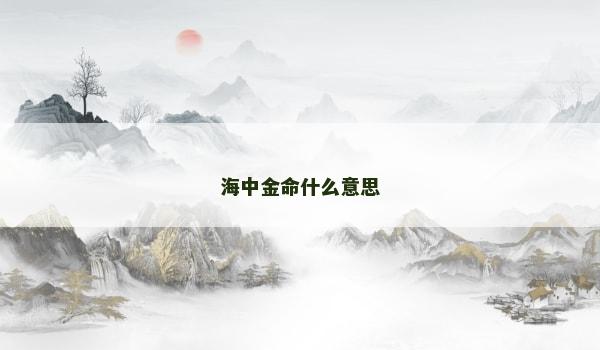 海中金命什么意思