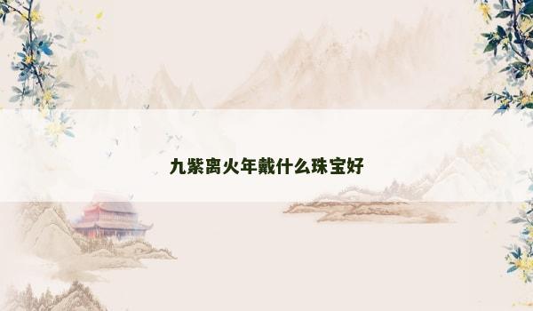 九紫离火年戴什么珠宝好