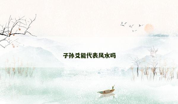 子孙爻能代表风水吗