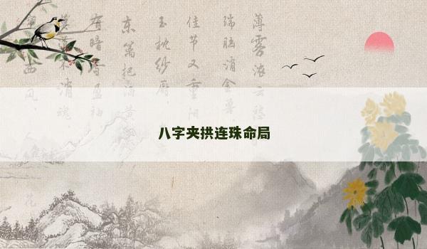 八字夹拱连珠命局
