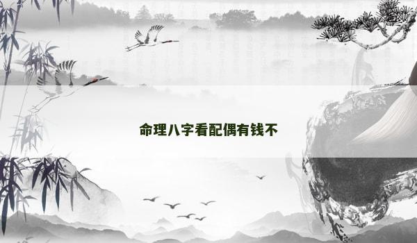 命理八字看配偶有钱不