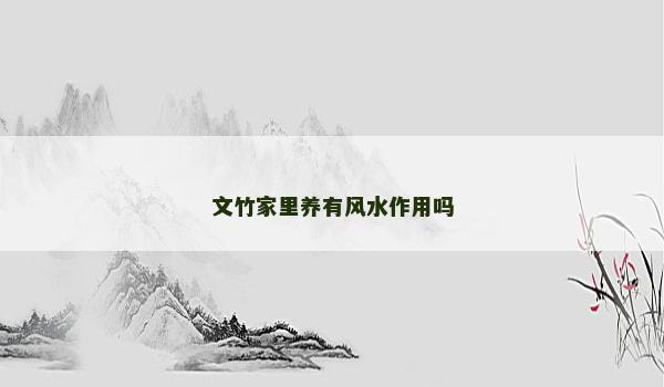 文竹家里养有风水作用吗