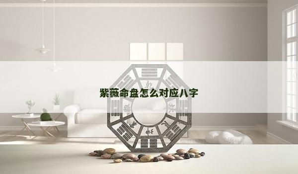 紫薇命盘怎么对应八字
