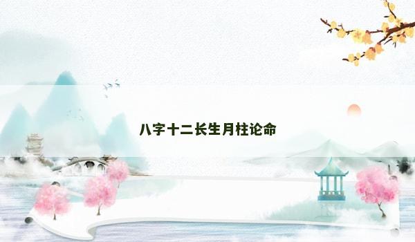 八字十二长生月柱论命