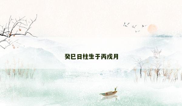 癸巳日柱生于丙戌月
