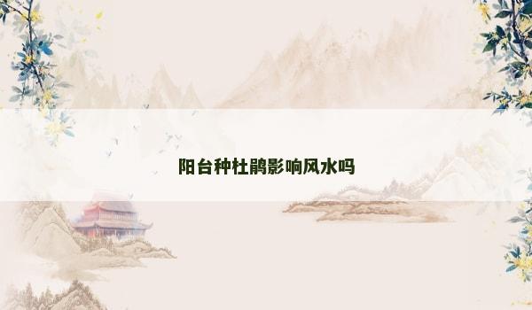 阳台种杜鹃影响风水吗