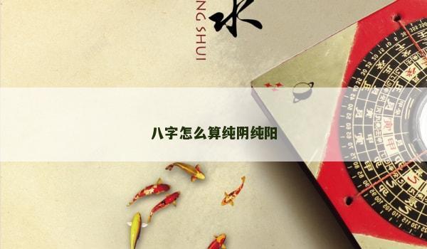 八字怎么算纯阴纯阳