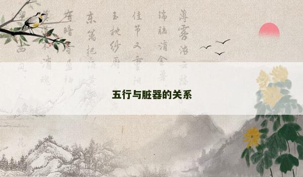 五行与脏器的关系