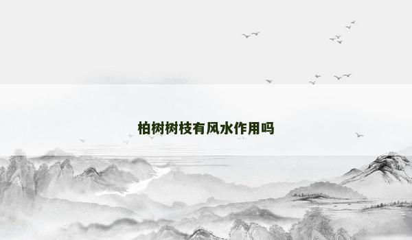 柏树树枝有风水作用吗