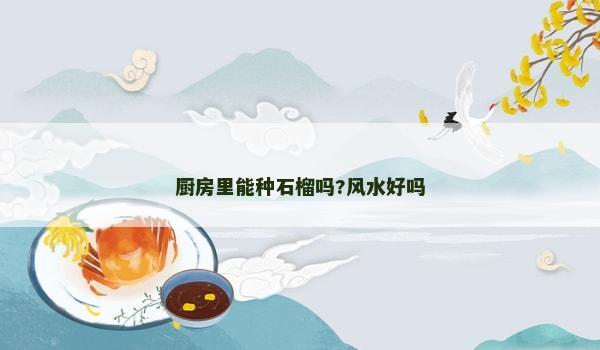 厨房里能种石榴吗?风水好吗