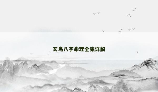 玄鸟八字命理全集详解
