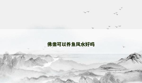 佛像可以养鱼风水好吗