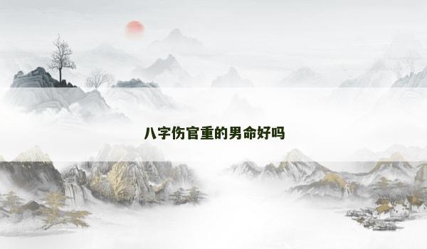 八字伤官重的男命好吗