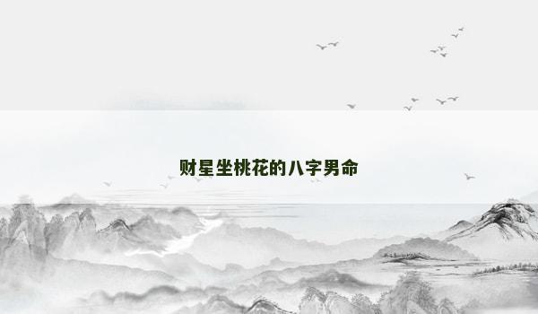 财星坐桃花的八字男命