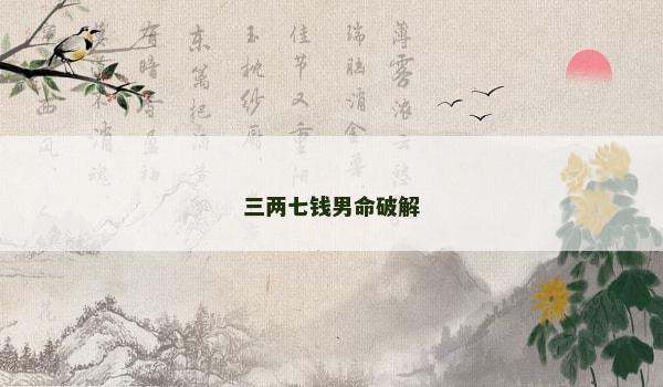 三两七钱男命破解