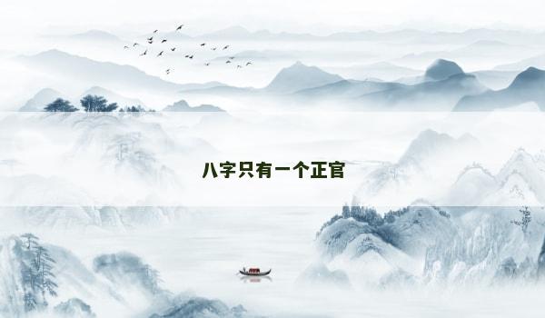 八字只有一个正官