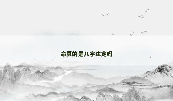 命真的是八字注定吗