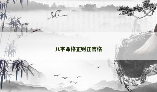 八字命格正财正官格
