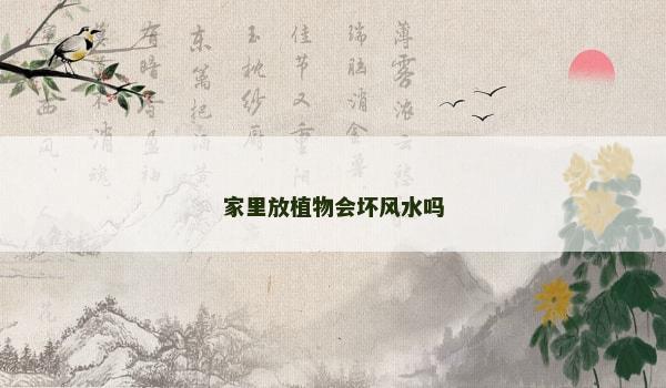 家里放植物会坏风水吗