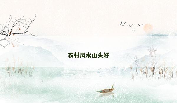 农村风水山头好