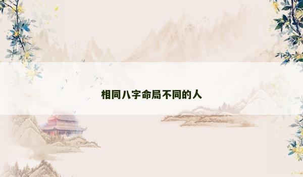 相同八字命局不同的人
