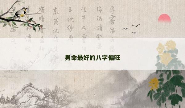 男命最好的八字偏旺
