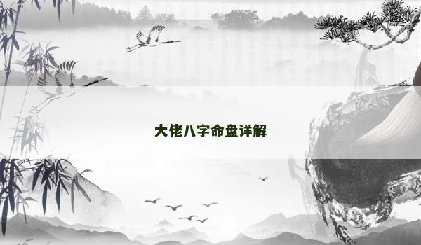 大佬八字命盘详解