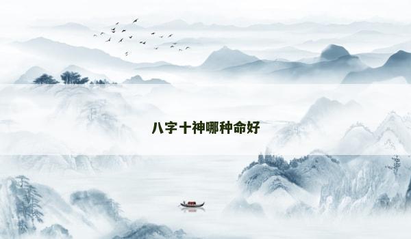 八字十神哪种命好
