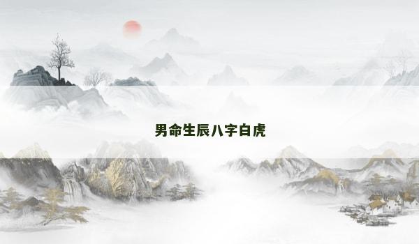 男命生辰八字白虎