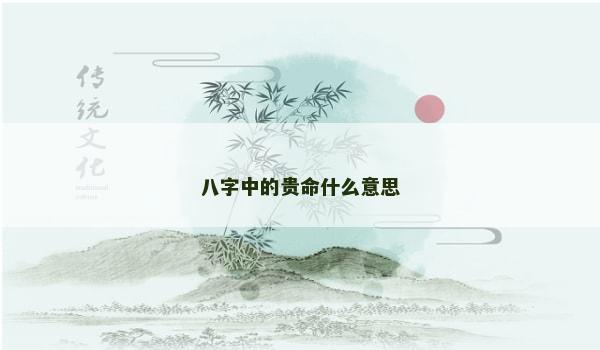 八字中的贵命什么意思