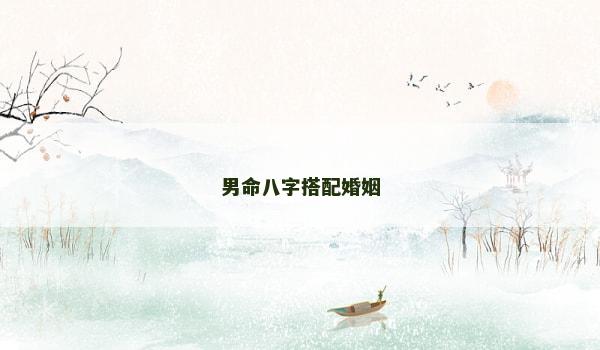 男命八字搭配婚姻
