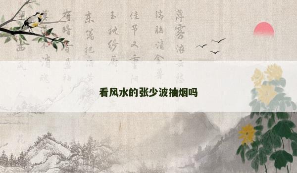 看风水的张少波抽烟吗