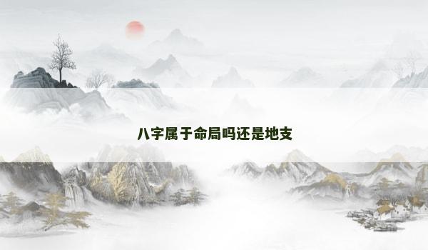 八字属于命局吗还是地支